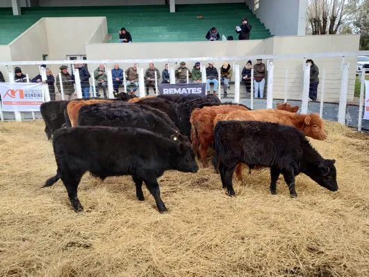 tn_IMG_20240626_131240988_HDR