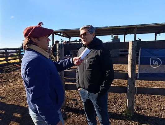 J6