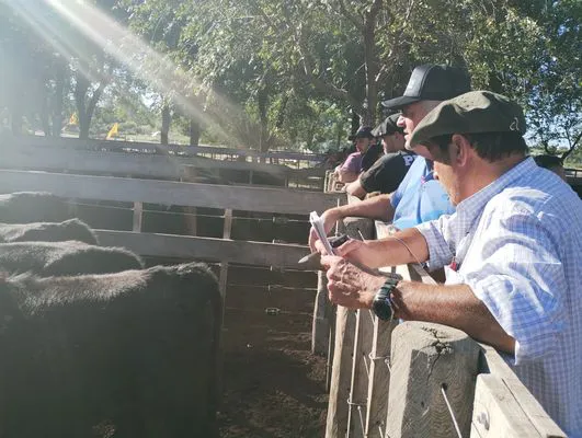 tn_IMG_20240405_165231272