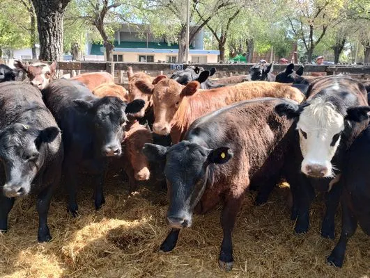 tn_IMG_20241008_145743303_HDR