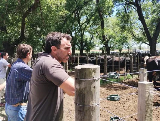 tn_IMG_20241211_113614131