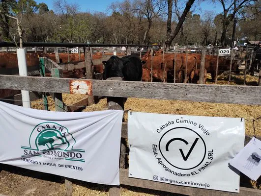 tn_IMG_20240925_114021800