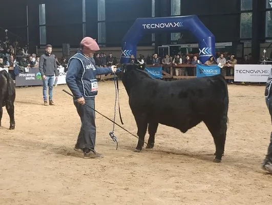 tn_IMG_20250521_171000982