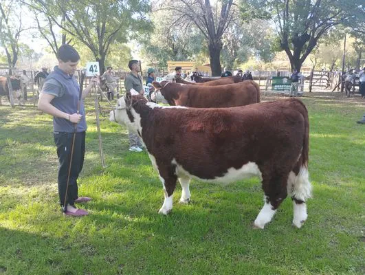 tn_IMG_20250508_151846463