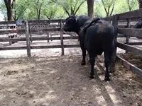 tn_IMG_20240216_152242006