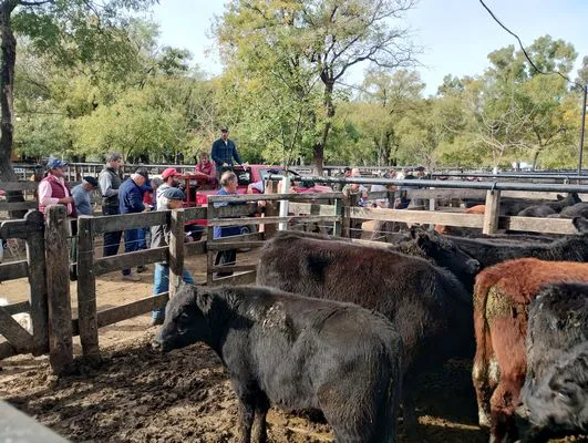 tn_IMG_20250514_125929162_HDR