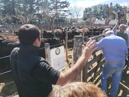 tn_IMG_20240912_133005301