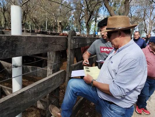 tn_IMG_20240925_151721415