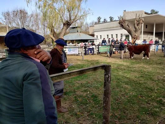 tn_IMG_20240530_141838322_HDR