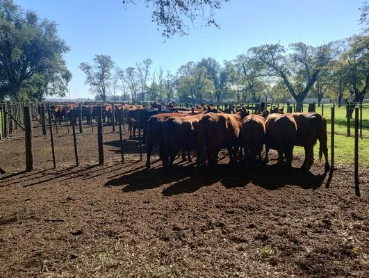 tn_IMG_20250505_124821933_HDR