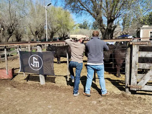 tn_IMG_20240907_120415190