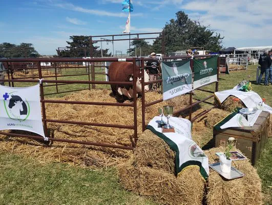 tn_IMG_20240927_115350046