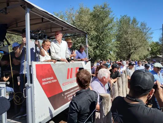 tn_IMG_20240406_131435213_HDR