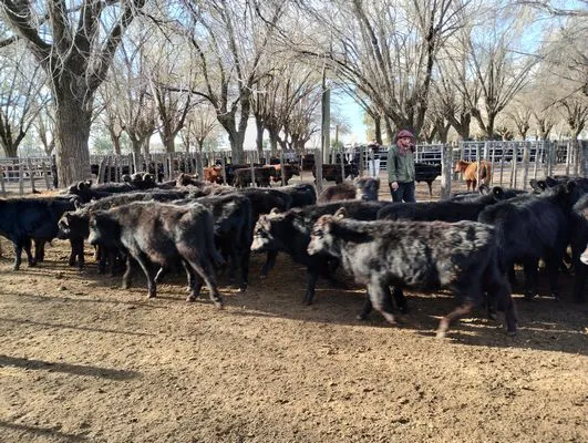 tn_IMG_20240628_151410772_HDR