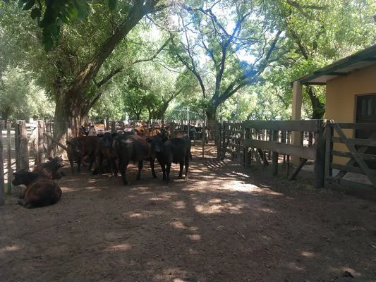 tn_IMG_20231213_102120506