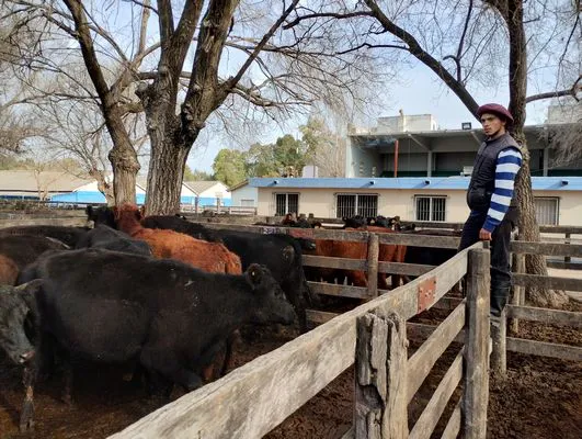 tn_IMG_20240718_150935733_HDR