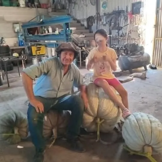 495319058_1269570774776899_1264463682467511455_n_0