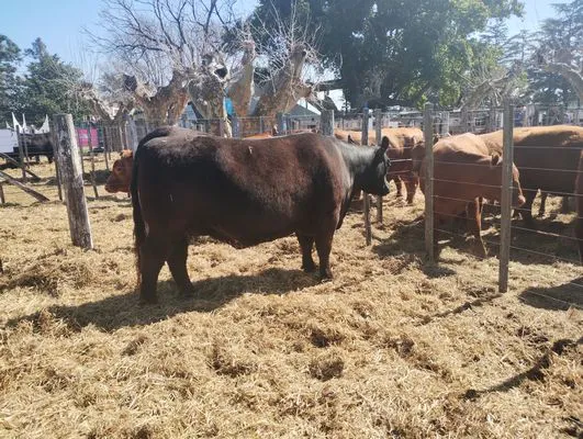 tn_IMG_20240912_114125886