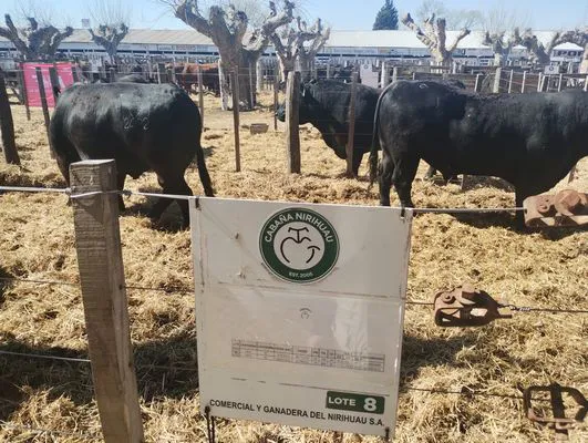 tn_IMG_20240912_111610030