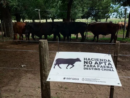 tn_IMG_20241211_114612938_HDR