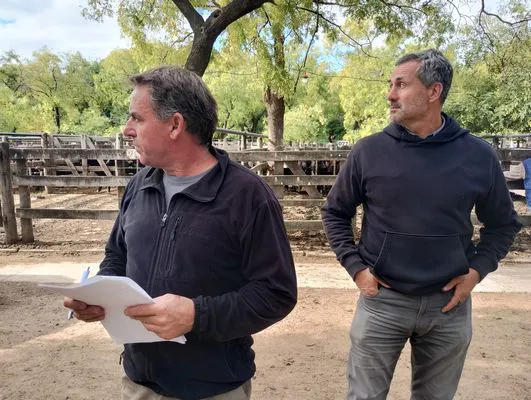 tn_IMG_20250404_154929490_HDR