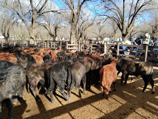 tn_IMG_20240628_152106650_HDR