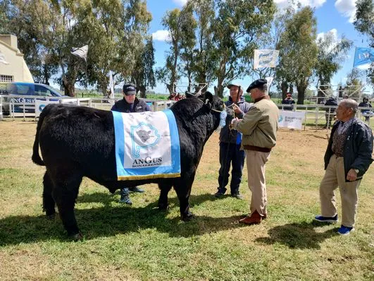 tn_IMG_20241002_122213562_HDR