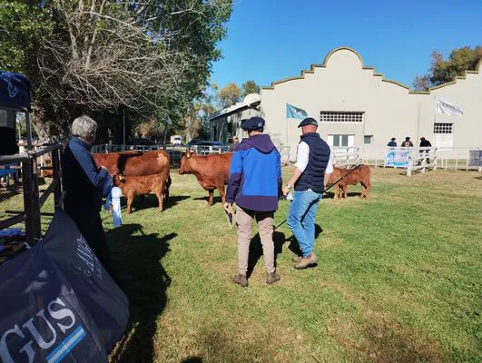 tn_IMG_20241002_093106924