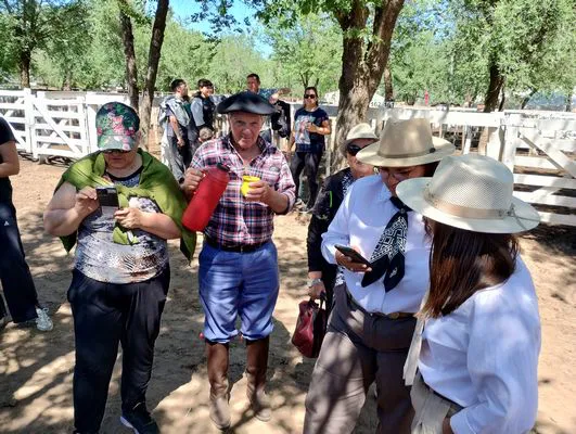 tn_IMG_20241026_111109557_HDR