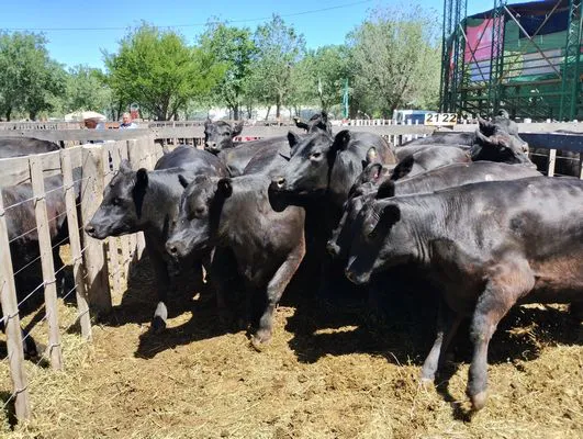 tn_IMG_20241026_114235571_HDR