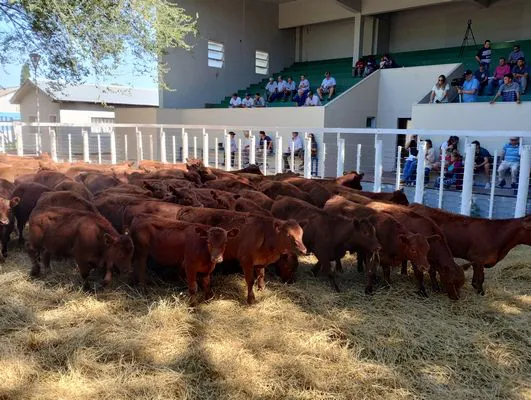 tn_IMG_20240214_155242005_HDR