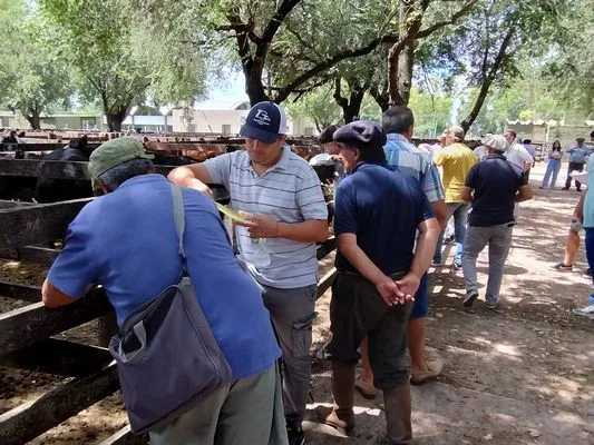 tn_IMG_20240221_121921127_HDR