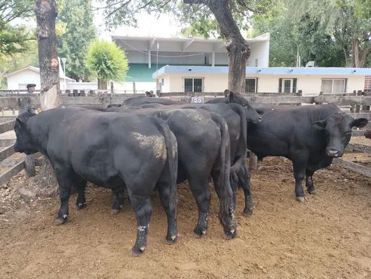 tn_IMG_20250116_155151068