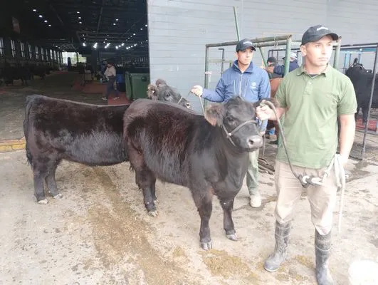 tn_IMG_20250519_105119832