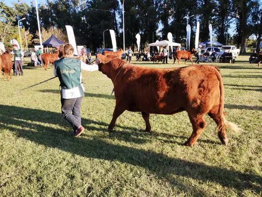 tn_IMG_20240502_164851221_HDR