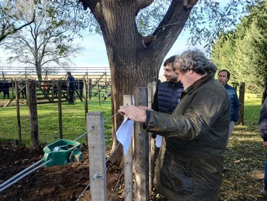 tn_IMG_20250611_122105365_HDR