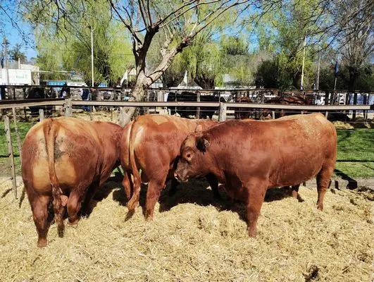 tn_IMG_20240907_113838016