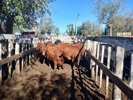 tn_IMG_20250424_144443461_HDR