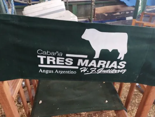 tn_IMG_20240727_135043710