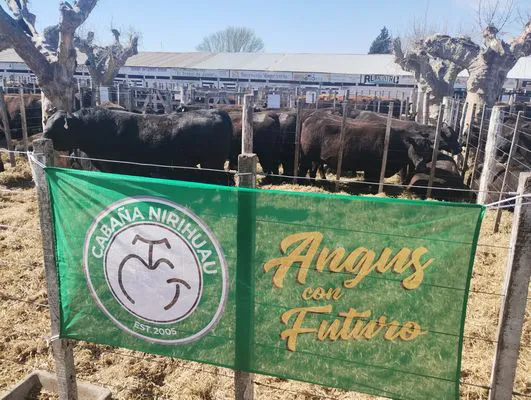 tn_IMG_20240912_111815408