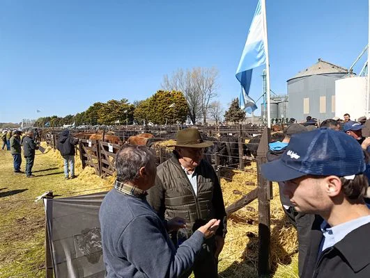 tn_IMG_20260908_114017