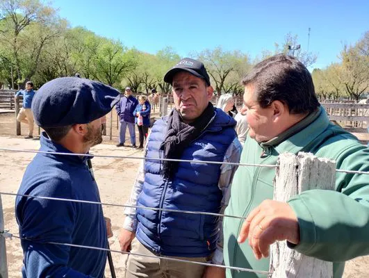 tn_IMG_20241002_105434134_HDR