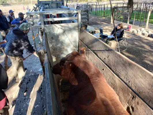 tn_IMG_20240501_152804125_HDR