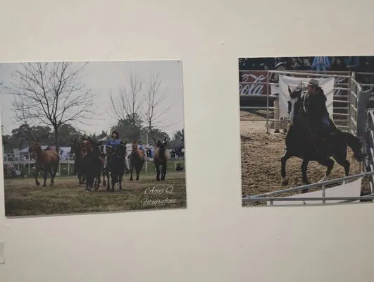 tn_IMG_20241015_185543394