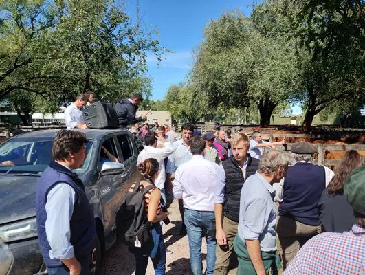 tn_IMG_20240326_140513849_HDR