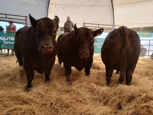 tn_IMG_20240711_160345028_HDR