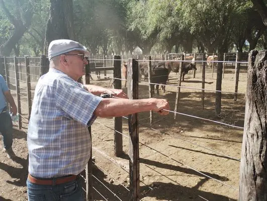 tn_IMG_20250220_160121801