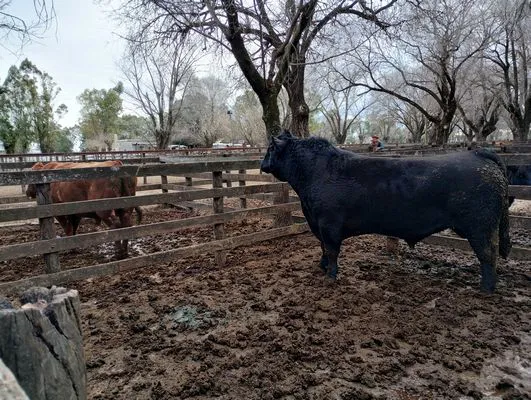 tn_IMG_20240626_120958510_HDR