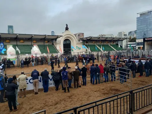 tn_IMG_20240522_100308839_HDR