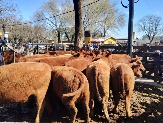 tn_IMG_20240829_121905922_HDR